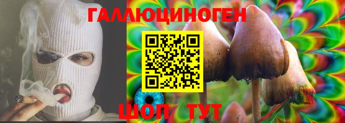 Галлюциногенные грибы ЛСД  Псилоцибиновые грибы ЛСД  Димитровград  дарнет шоп  Вход с VPN 